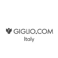 /public/images/stores/giglioit.webp
